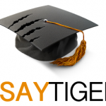 EssayTigers