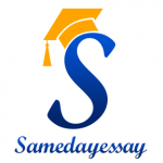 SameDayEssay