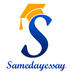 samedayessay-logo